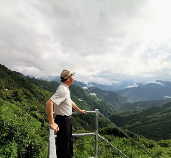 拉拉山巨木步道-塔曼山步道_202407022569693