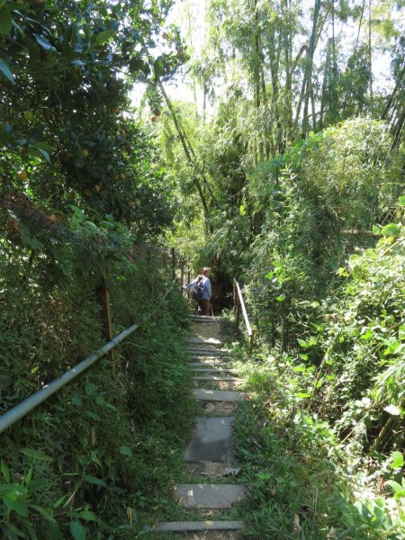 豐原三崁頂健康步道3上2下O形2696154