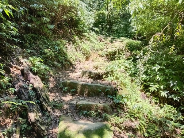 雙溪區淡蘭山徑-燦光寮古道+貂山古道O型2774854