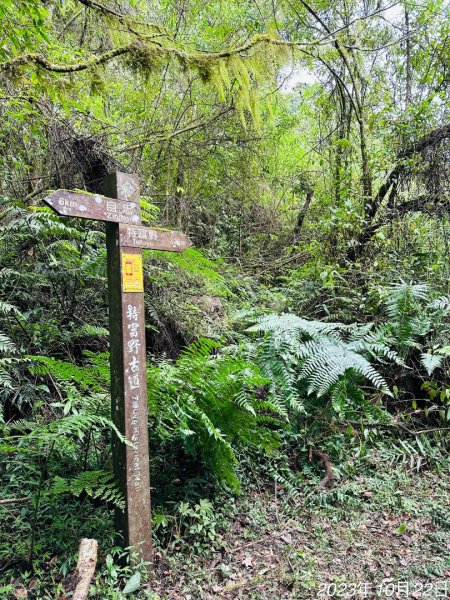 特富野古道2846017