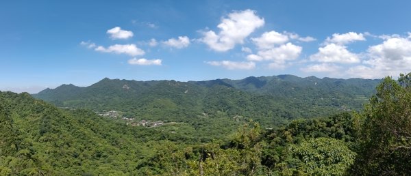 平溪區慈恩嶺+慈母峰探找艷紅鹿子百合花影2870238