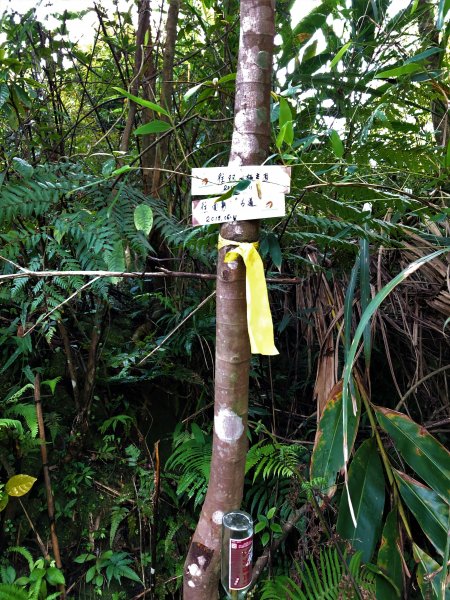 獅公髻尾山連走伏獅山接九芎坑山(玉桂嶺)912586