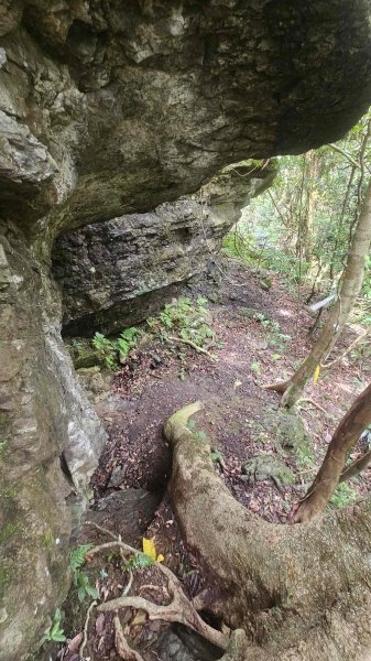 20250730烏來三山下紅河谷2848728