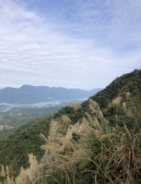 梅嶺伍龍步道走獵鷹尖一線天 難山 竹子尖山 梅峰1571907