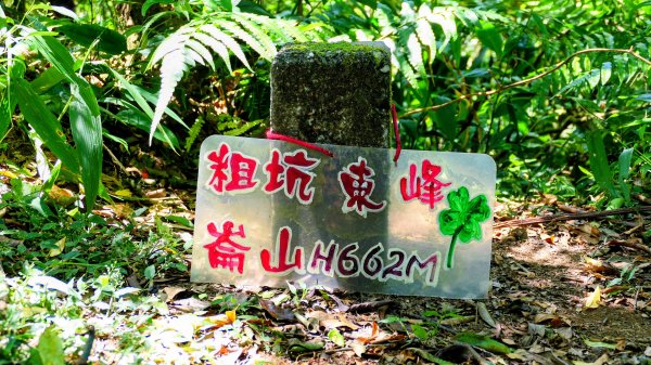 黃櫸皮寮山2898310