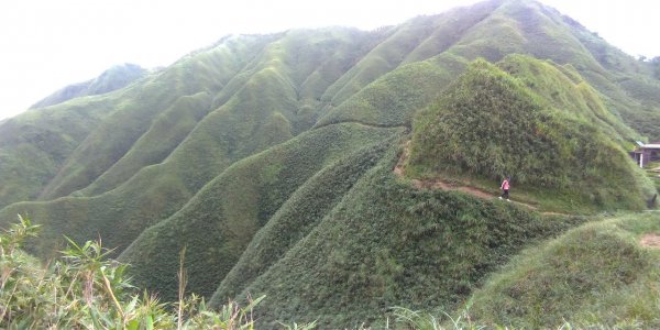 聖母步道抹茶山723201