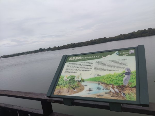 山海圳【內海之路：第一段】台江國家公園3090722