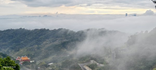 #雲瀑 #雲海 #琉璃光 #天空之城（林口）#觀音山 #林梢步道 3/13008595