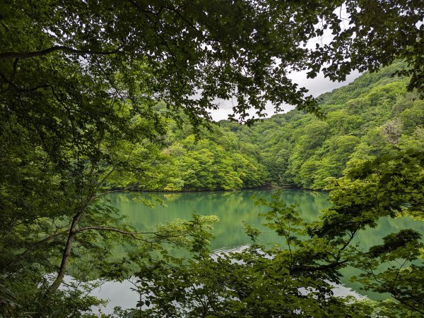 2023-06-14 十二湖（日本）2793198