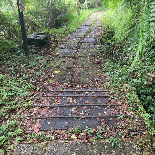 步道巡訪員 l 跑馬古道 第8巡水溝廁所1054412