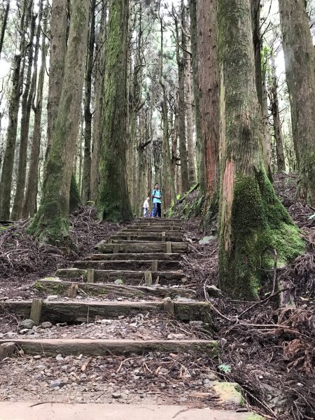 109年6月26日特富野古道1027231