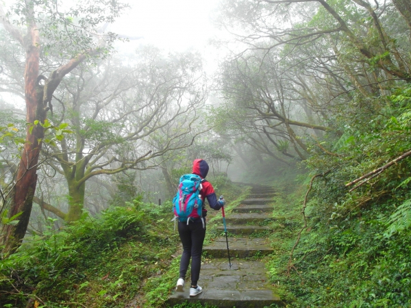 陽明山東西大縱走之半縱走79836