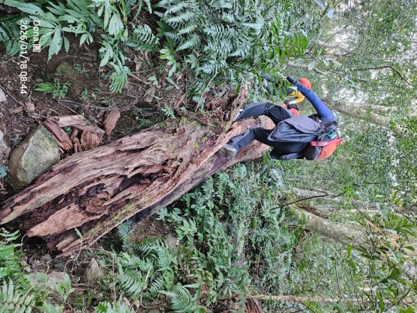 南插天山.魯培山.上宇內山(南插北峰)2989754