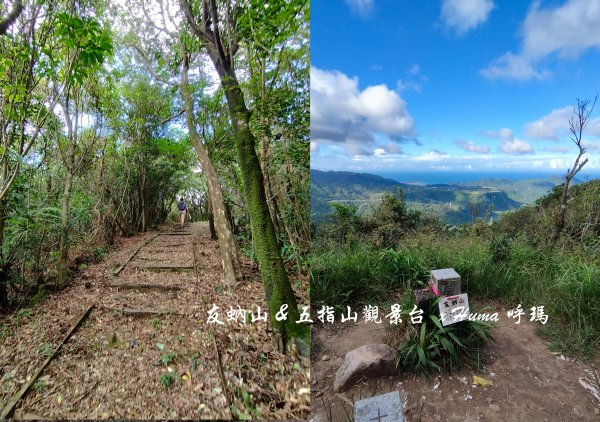 【汐止友蚋山＆五指山觀景平台】十分鐘抵達台北秘境景點