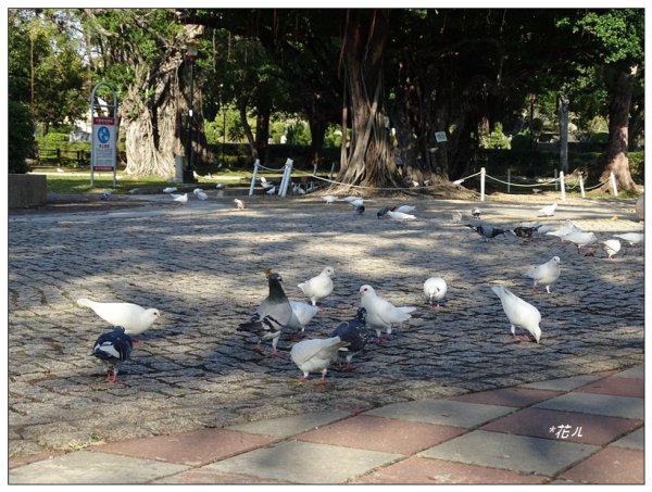 台中公園基石 (砲台山三角原點)2673274