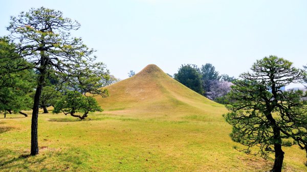 熊本水前寺成趣園,熊本城3028446