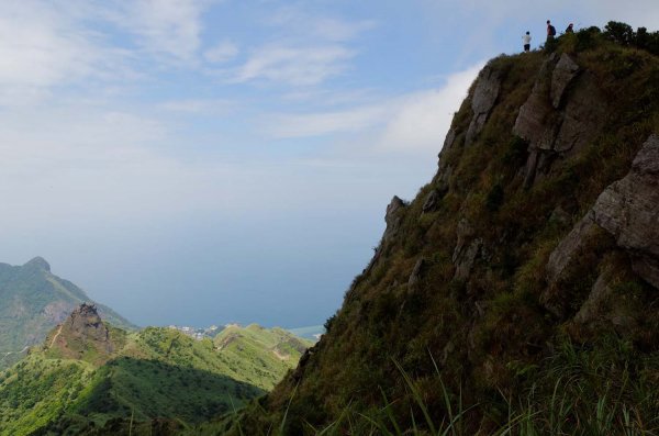 無耳茶壺山。黃金三稜539674