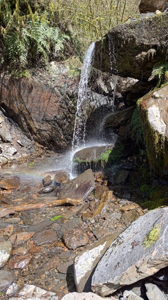 仙女散落的珍珠2723930