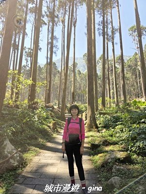 【南投鹿谷】溪頭天文台登山步道3037358