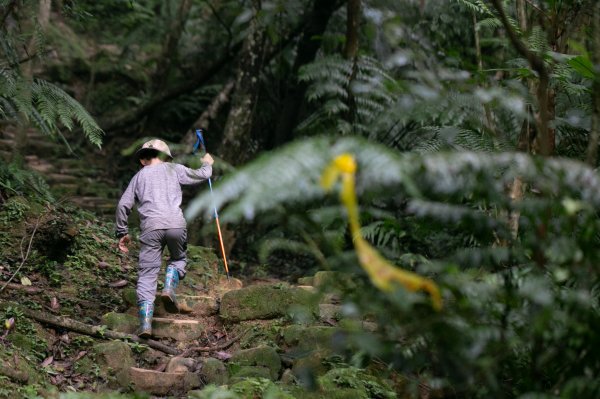 北港二坑-翠湖-內溝山-油桐嶺-老鷲尖山-老鷲尖南峰-學頭坡山 O型2232082