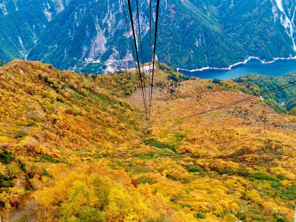 黑部立山秋行2933327