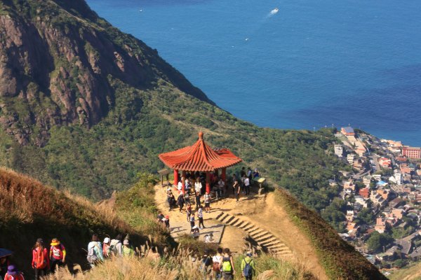 無耳茶壺山 芒花構成的737565
