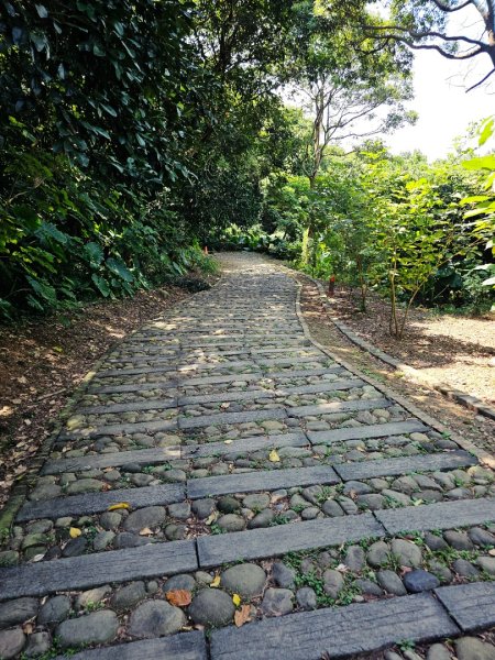 犁頭山、文山步道-2025森遊竹縣皮皮獅探險隊2890082