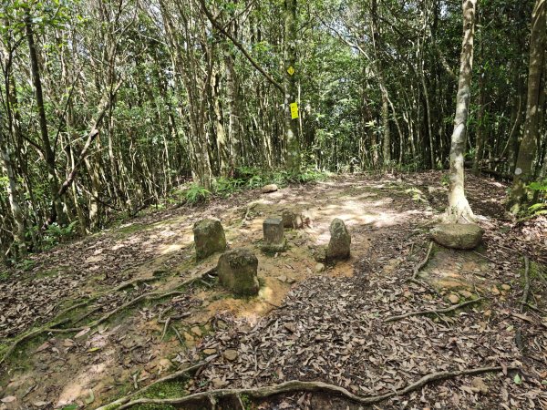 2025_0601 赫威山2802318