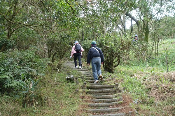 獅公髻尾山3086289