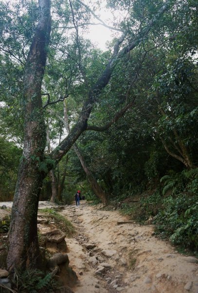 桃園石門山+小粗坑2021922