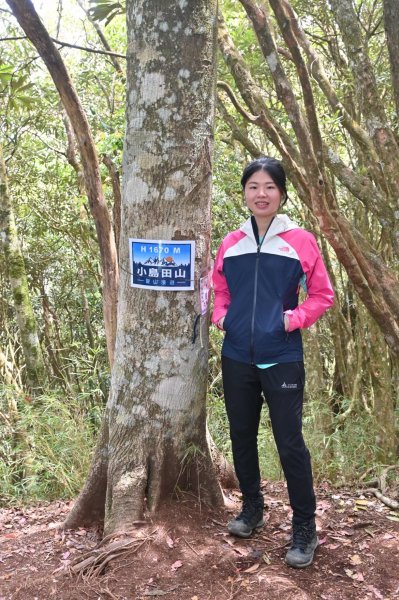 中級山-高島縱走2888371