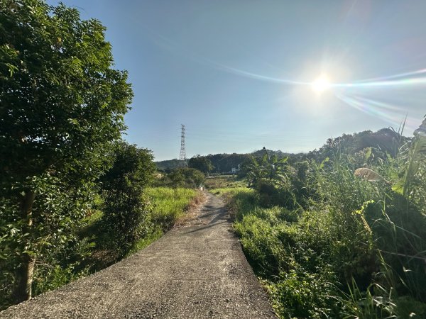 苗栗頭屋-墨硯山步道2613672