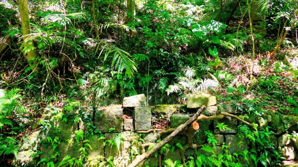 紅壇上紗帽山,花卉中心3016469