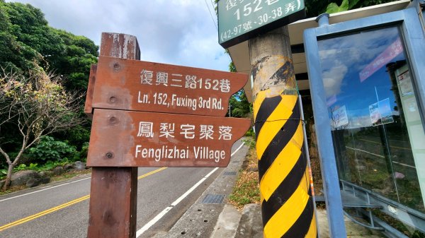 臺北大縱走第一段加碼版，忠義山，向天山，面天山，永春寮環狀步道，四季長廊觀景台，鳳梨宅，大屯自然公園1921132