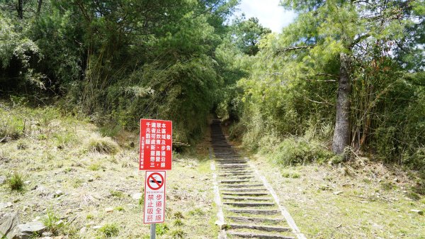 20180420鹿林山 麟趾山1495678