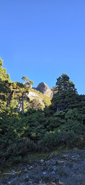20251003-1006 南湖群峰四天6座百岳2919837