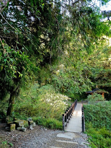 特富野古道-2024嘉遊好步道．來嘉走走2674365