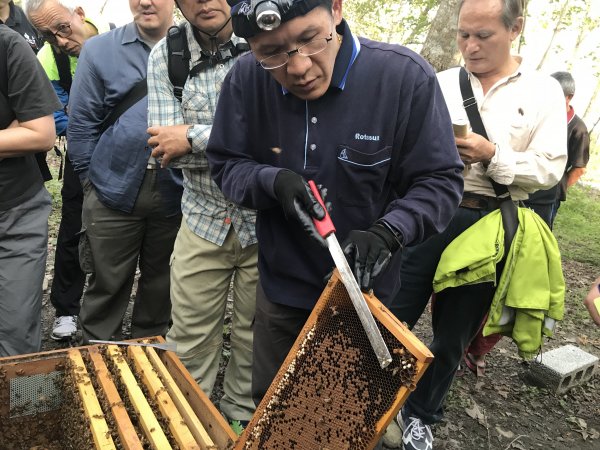 【新聞】413來關渡探索保安林 與動物鄰居幸福共生