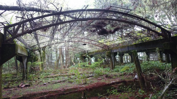 雙龍林道上巒安堂西巒大山1778670