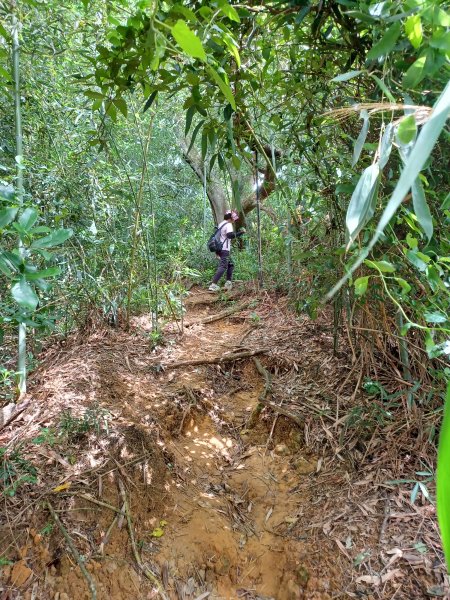 【台中潭子】爬山野餐趣。 新田登山步道x聚興山2899212