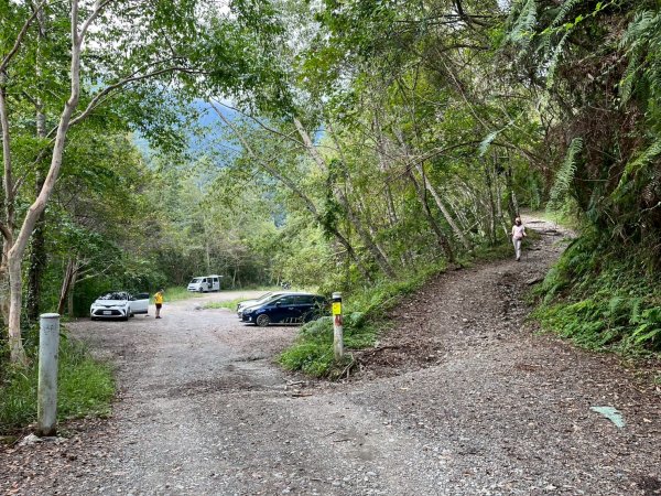 新竹 尖石 鎮西堡巨木群步道A線巨木群 毒龍潭2884750