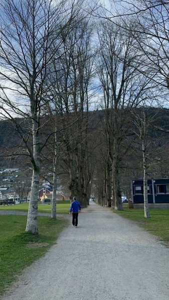 挪威🇳🇴Voss峽谷秘境2810360