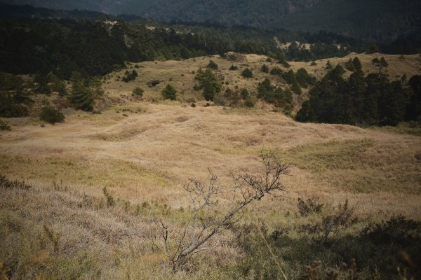 奇萊主北：奇萊北峰、月形池1322913