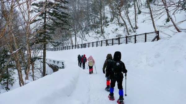 銀色冬眠的上高地2981755