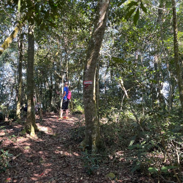 20251116_鳴海山（高雄小百岳）2941557