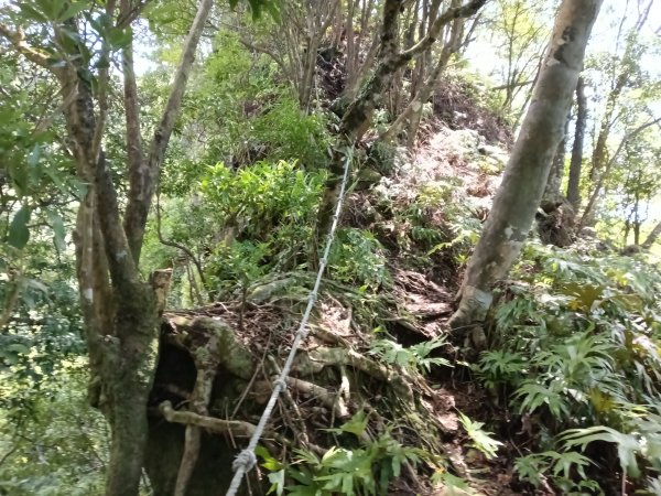 平溪區灰窯山驚險岩稜+司公碗帽山O型2897937