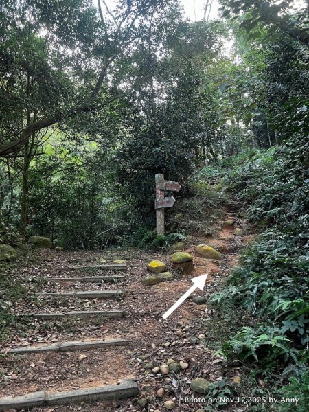 苗栗三員縱走2942829