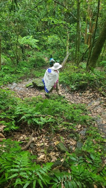 2025-01232淡蘭古道北二段(燦光寮古道到澳底)2696579