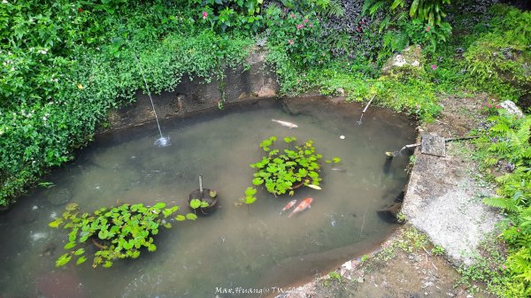 《台北》城市晨運｜虎山親山自然步道（松山慈惠堂）202505222795771