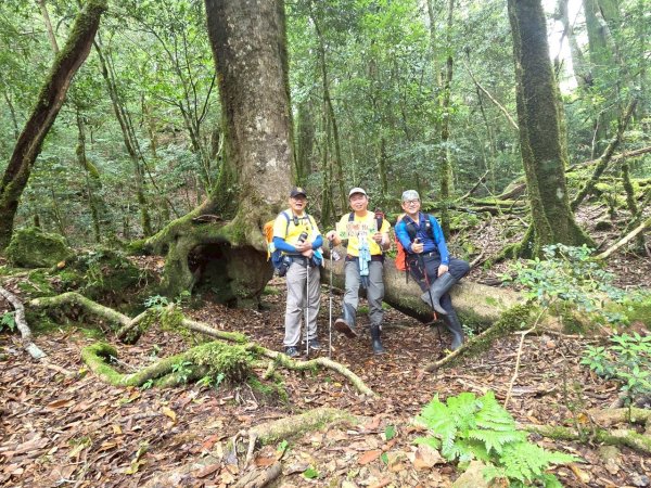 觀雪縱走~大園登山協會2828648